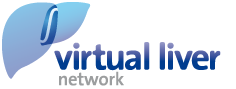VLN Logo